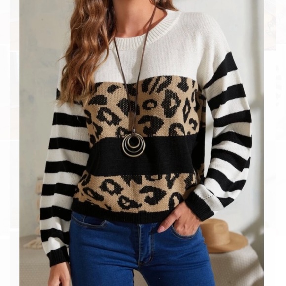 Sweaters - 🆕LAST ONE🛍 Bold Stripes Leopard Colorblock Sweater